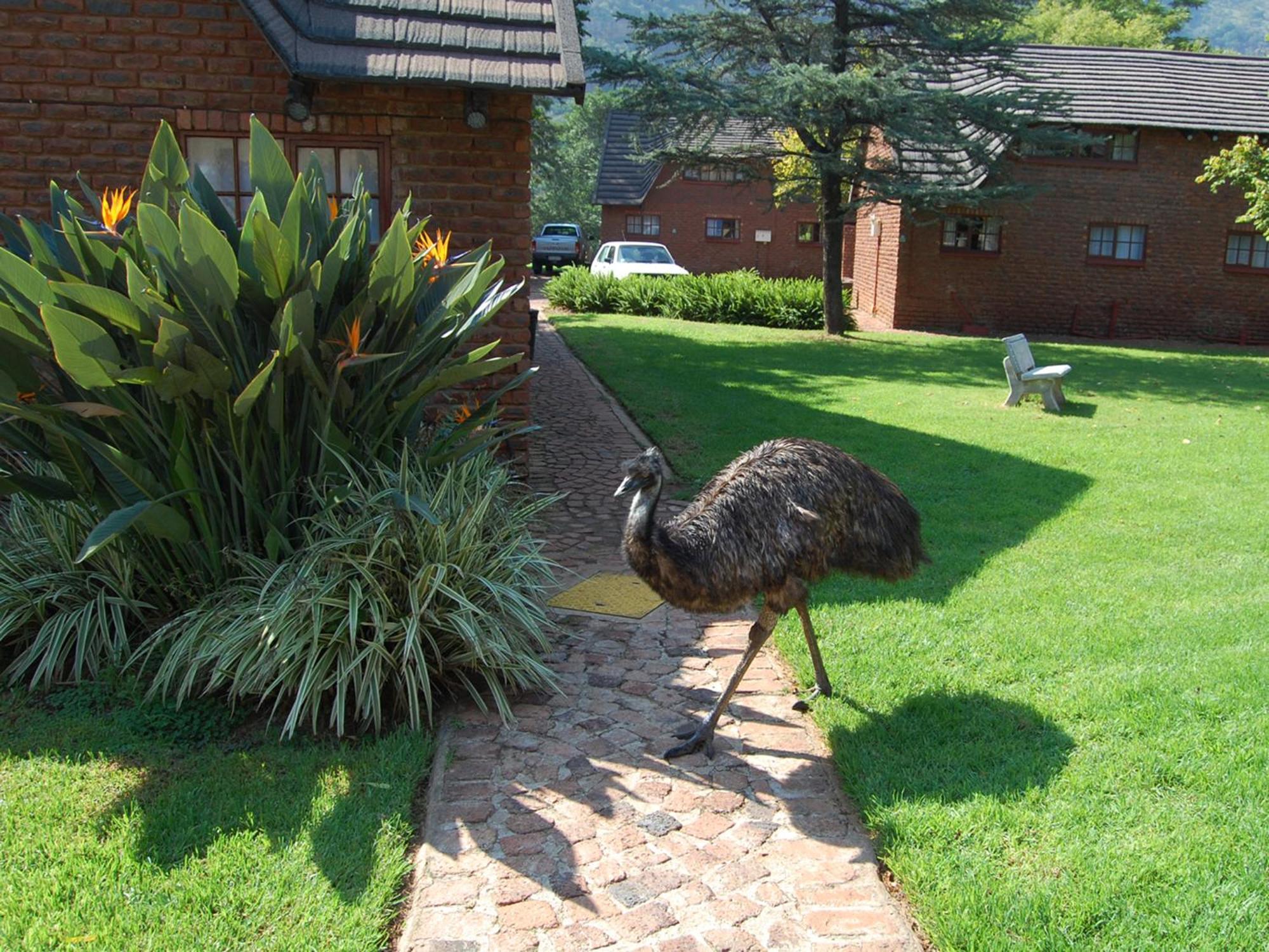 Mount Amanzi Hotel Hartbeespoort Buitenkant foto